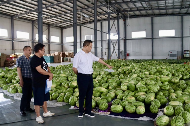 集團公司到龍泉農(nóng)產(chǎn)品集采集配中心調(diào)研